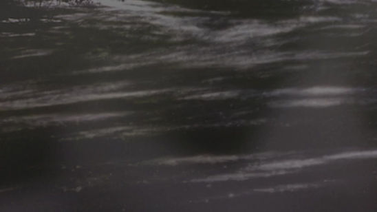 Sur le bord de l'eau